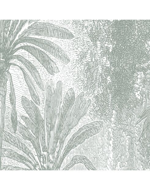 Carta da parati panoramica con licheni della giungla del Madagascar - 192x270 cm