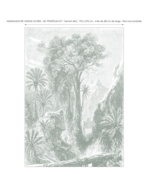 Carta da parati panoramica con licheni della giungla del Madagascar - 192x270 cm