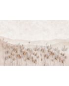 Panoramisch behang Chatons Des Sables beige - 432x285 cm