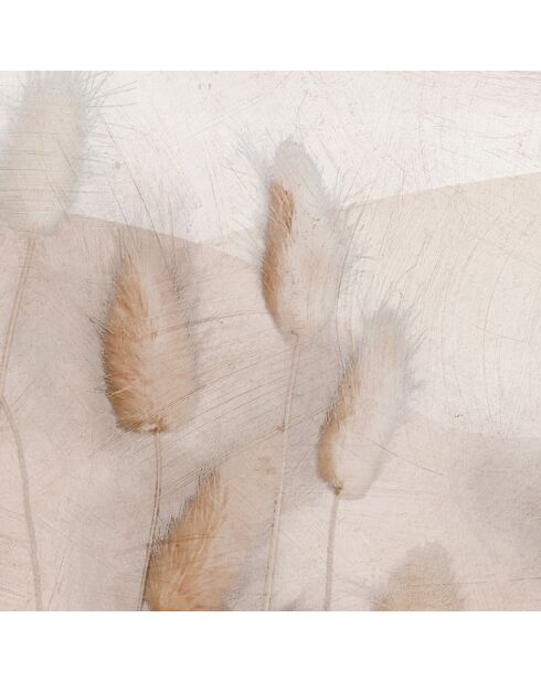 Panoramisch behang Chatons Des Sables beige - 432x285 cm