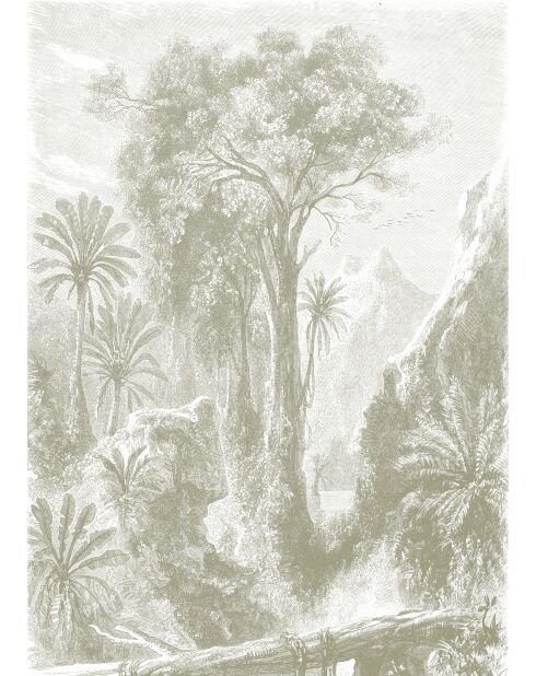 Carta da parati panoramica con salvia della giungla del Madagascar - 192x270 cm