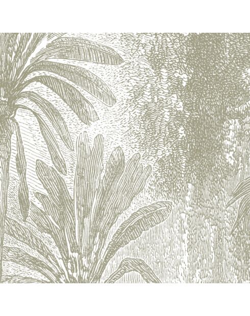 Carta da parati panoramica con salvia della giungla del Madagascar - 192x270 cm