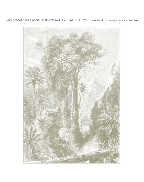 Carta da parati panoramica con salvia della giungla del Madagascar - 192x270 cm