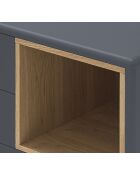 Cassettiera Corvo con 4 cassetti e 1 nicchia in grigio antracite - 90x40x90cm