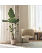 Fauteuil Mogi 107-1049 beige - 60x65x74/44cm