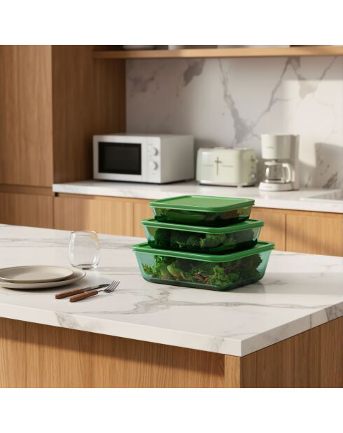 Set di 3 contenitori rettangolari in vetro verde Aloe - 64/105/152 cl