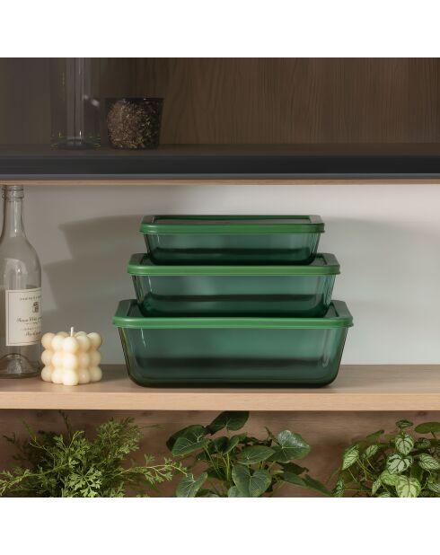 Set di 3 contenitori rettangolari in vetro verde Aloe - 64/105/152 cl