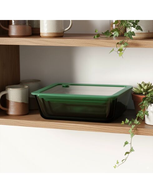 Lot de 3 boîtes de conservation rectangulaires Aloe vertes - 64/105/152 cl