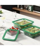 Lot de 3 boîtes de conservation carrées Aloe vertes - 32/52/80 cl