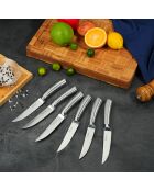 Lot de 6 couteaux à steak Élixir en inox argenté