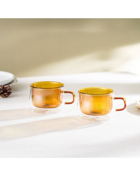 Lot de 2 Mugs Ambra double paroi en verre orange - 22cl