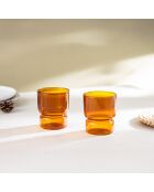 Lot de 2 Verres Ambra orange - 30cl