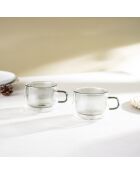 Lot de 2 Mugs Ambra double paroi en verre gris - 22cl