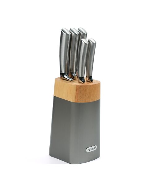 Bloque de 5 cuchillos Élixir de acero inoxidable plateado