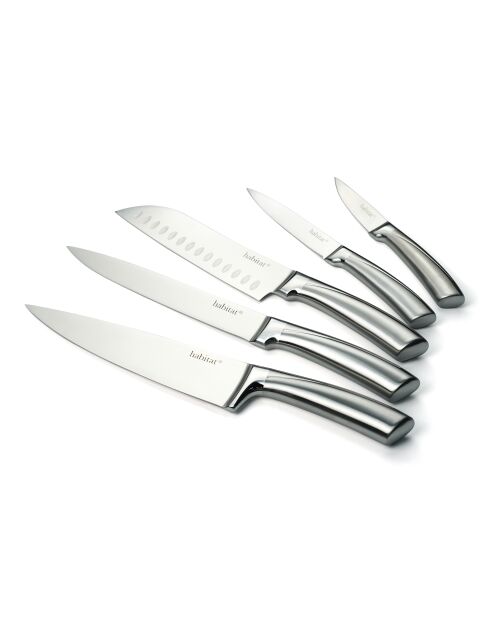 Bloque de 5 cuchillos Élixir de acero inoxidable plateado