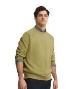 Felpa Gontran in cotone verde foglia