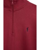 Felpa Aurélien in cotone rosso bruciato