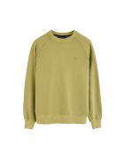 Felpa Casimir in cotone verde foglia