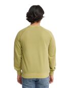 Felpa Casimir in cotone verde foglia