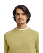 Felpa Casimir in cotone verde foglia