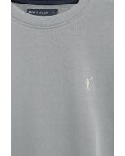 Sweat-shirt en coton Alban gray