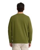 Felpa Yves moss in cotone
