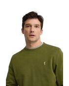 Felpa Yves moss in cotone