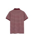 Polo Daniel in cotone a manica corta granato-ecru