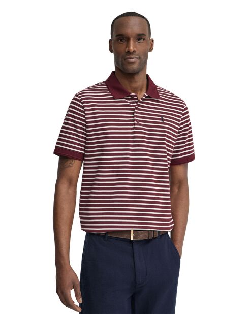 Polo Daniel in cotone a manica corta granato-ecru