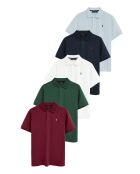 Set van 5 meerkleurige Francis katoenen poloshirts met korte mouwen