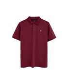 Set van 5 meerkleurige Francis katoenen poloshirts met korte mouwen