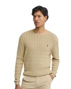 Felpa beige Dylan in cotone