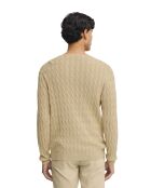 Felpa beige Dylan in cotone