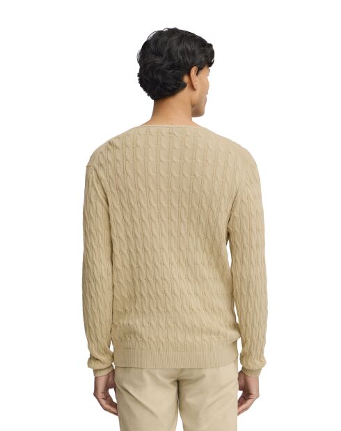 Felpa beige Dylan in cotone