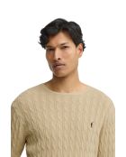 Felpa beige Dylan in cotone