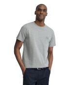 T-Shirt à manches courtes en coton Quentin gray vigore