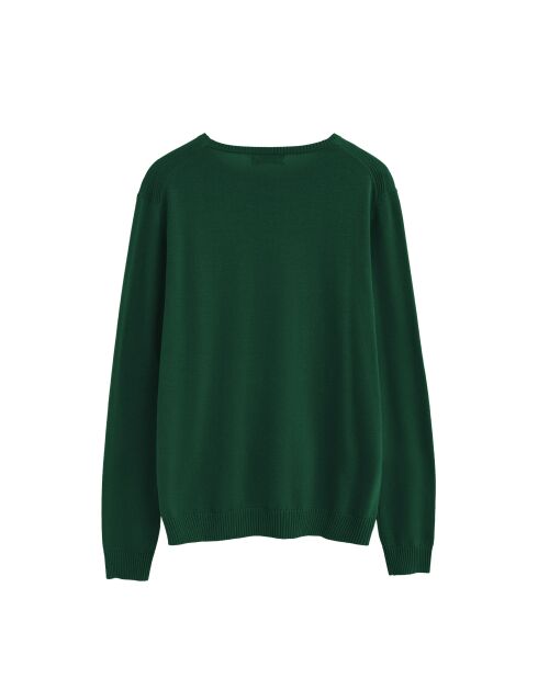Pull en coton Yohan bottle green