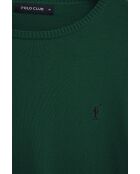 Pull en coton Yohan bottle green