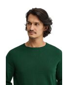Pull en coton Yohan bottle green