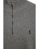 Felpa Aaron vigore in cotone grigio