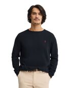 Felpa Virgile in cotone blu