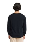 Felpa Virgile in cotone blu
