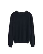 Felpa Alan in cotone blu scuro