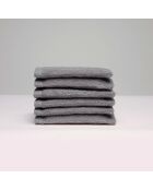 Gant de toilette coton peigné LT Oasis brun - 6x(15x21 cm)