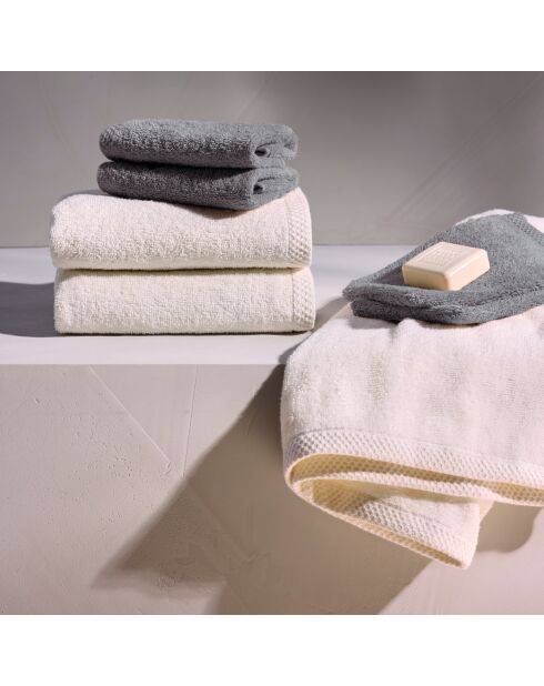 Gant de toilette coton peigné LT Oasis brun - 6x(15x21 cm)