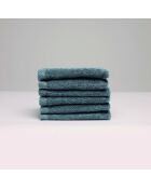 Gant de toilette coton peigné LT Oasis bleu de prusse - 6x(15x21 cm)