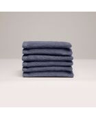 Gant de toilette coton peigné LT Oasis bleu gris - 6x(15x21 cm)