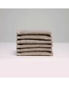 Gant de toilette coton peigné LT Oasis taupe - 6x(15x21 cm)