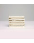 Gant de toilette coton peigné LT Oasis ivoire - 6x(15x21 cm)