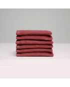 Gant de toilette coton peigné LT Oasis terracotta - 6x(15x21 cm)
